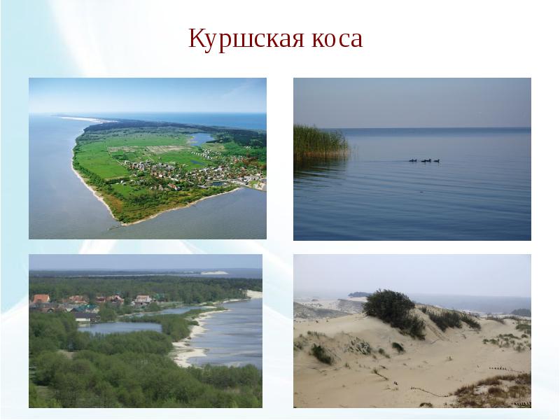 Куршская коса презентация