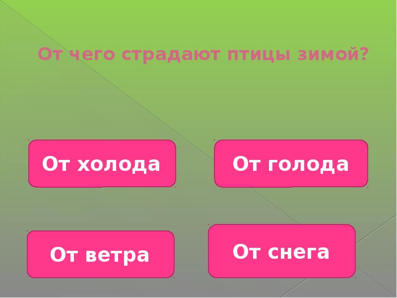 Викторина по окружающему миру 2 класс презентация