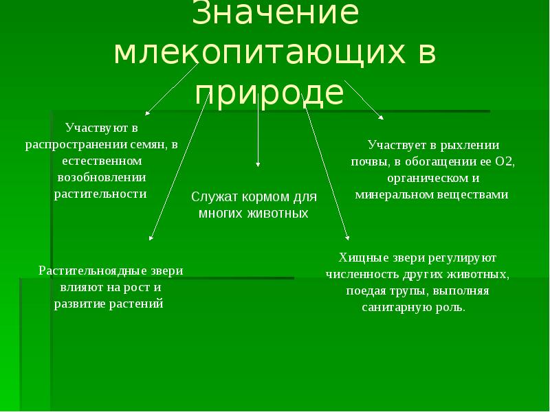 Значение млекопитающих в природе и в жизни человека презентация