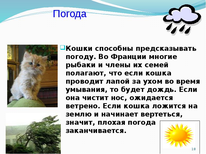 Кошки презентация 1 класс