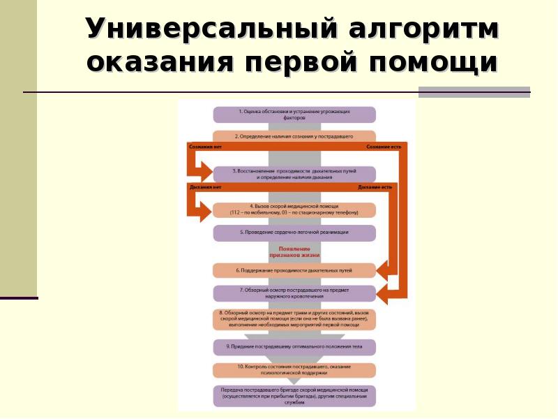 Оказание первой помощи схема