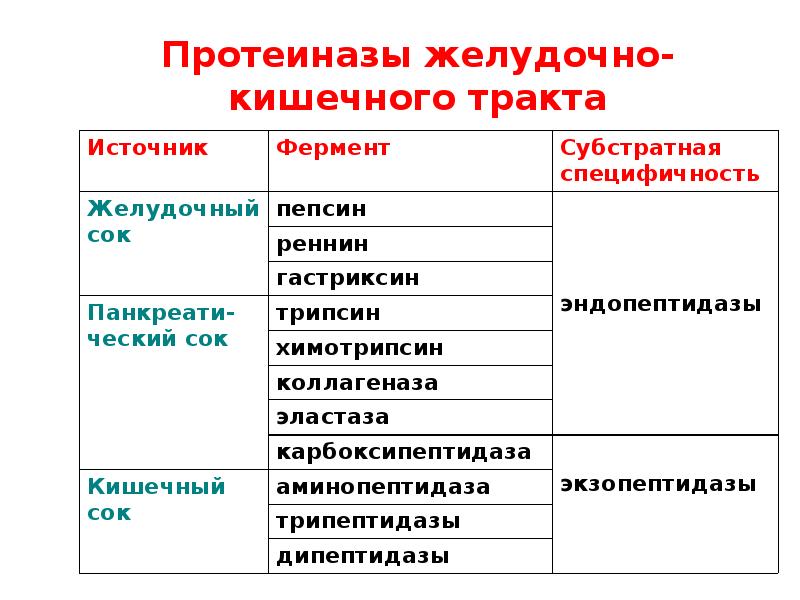 пепсин трипсин химотрипсин