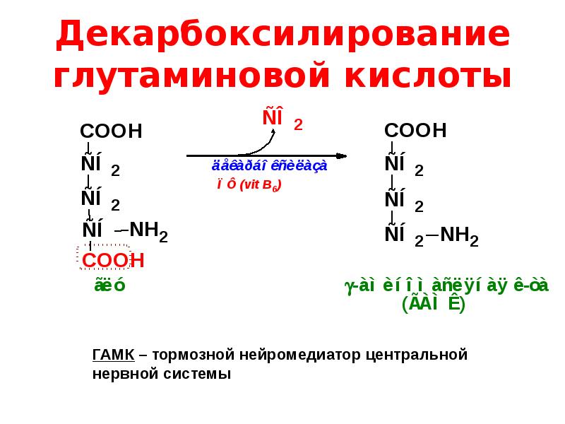 Глутаминовая кислота