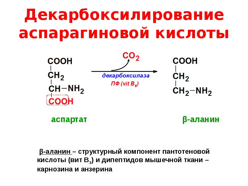 Аспарагиновая кислота что это