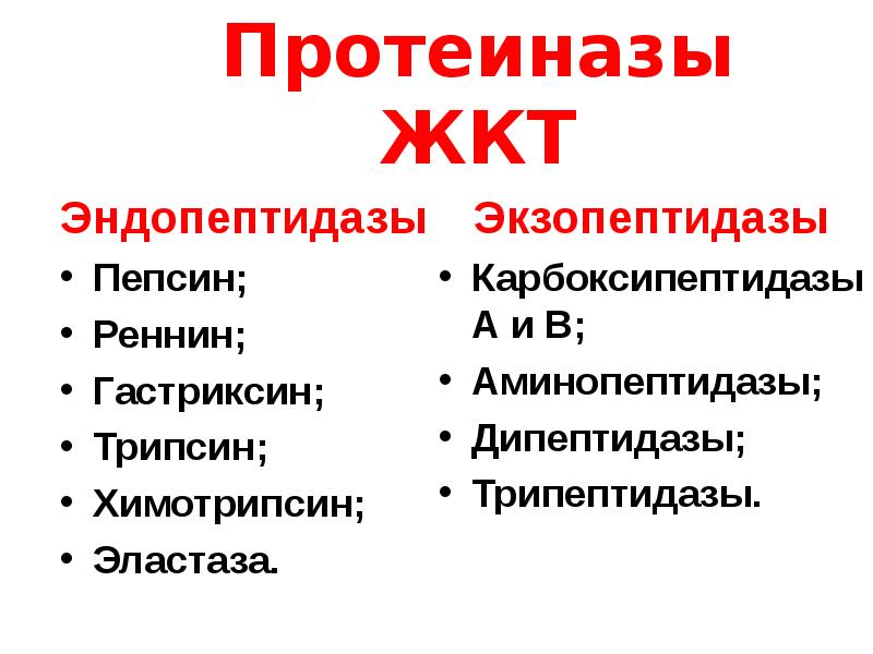 пепсин трипсин химотрипсин
