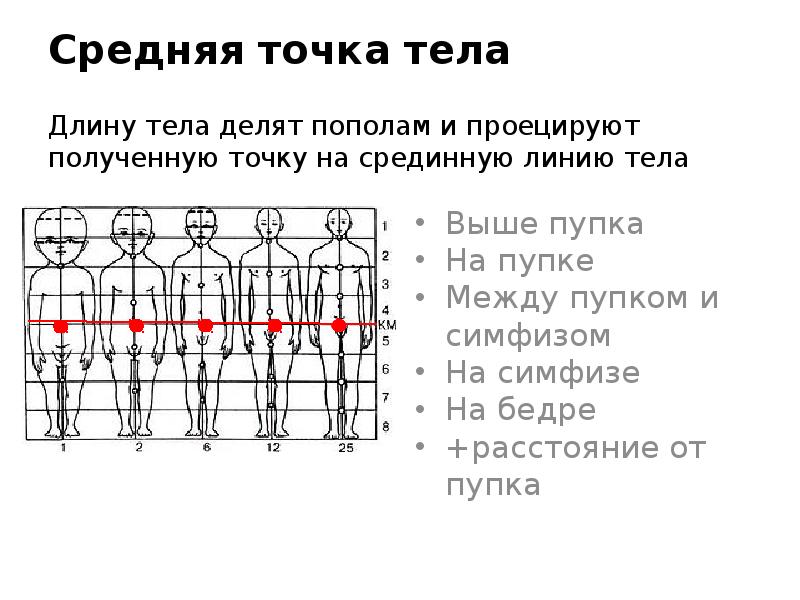 Оценка пропорциональности развития ребенка презентация