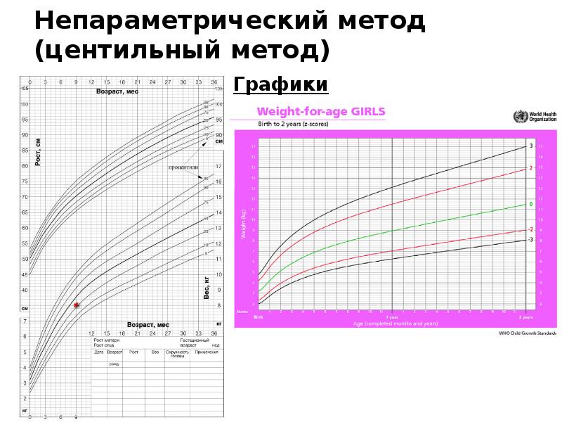 Оценка пропорциональности развития ребенка презентация