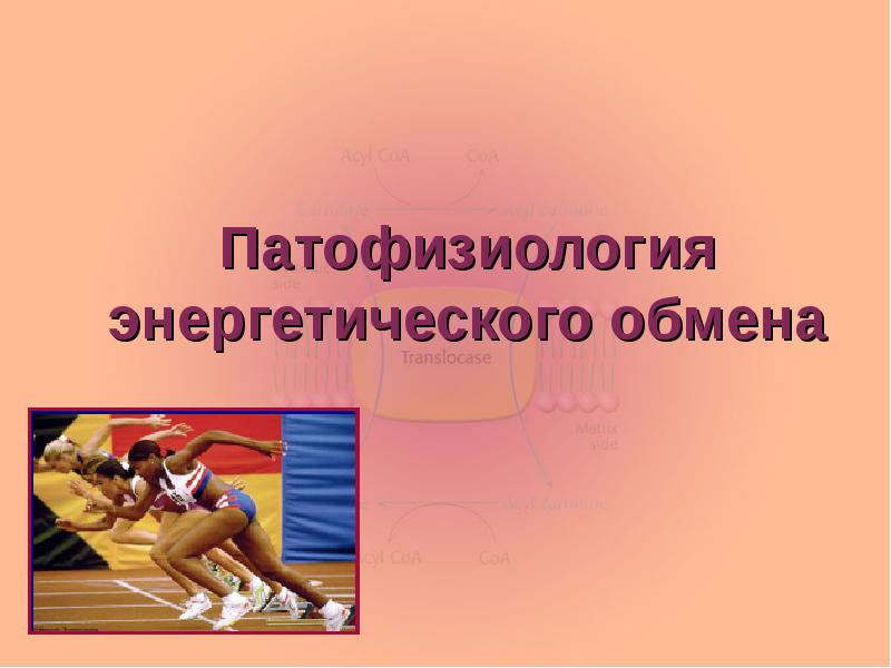 Патофизиология энергетического обмена