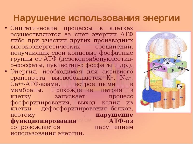Нарушение использования энергии Синтетические процессы в клетках осуществляются за счет энергии