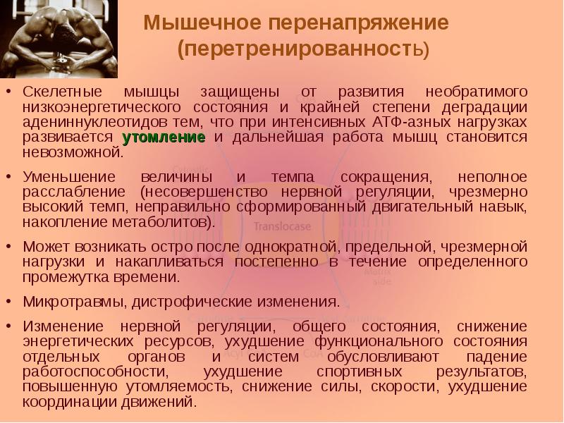 Мышечное перенапряжение (перетренированность)