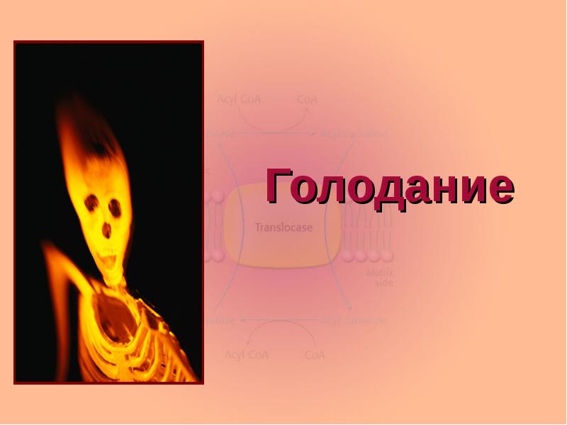 Голодание