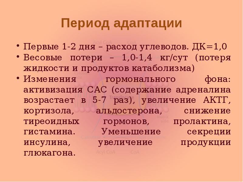 Период адаптации Первые 1-2 дня – расход углеводов. ДК=1,0 Весовые потери