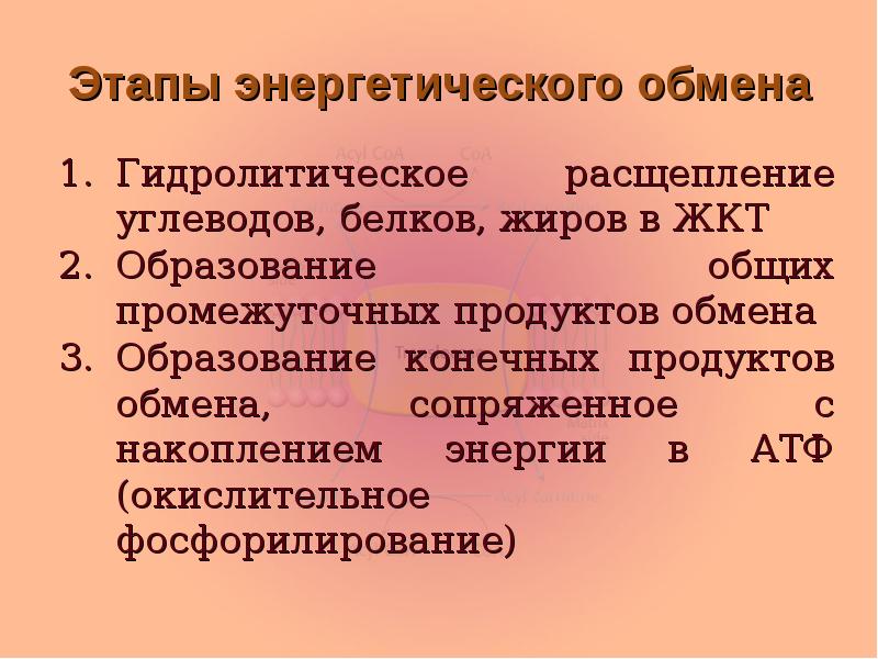Этапы энергетического обмена Гидролитическое расщепление углеводов, белков, жиров в ЖКТ Образование