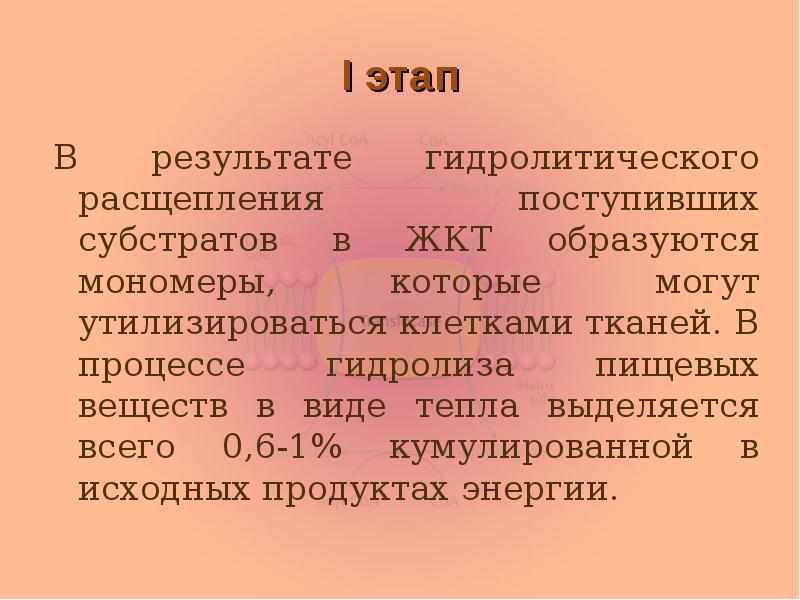 I этап В результате гидролитического расщепления поступивших субстратов в ЖКТ образуются