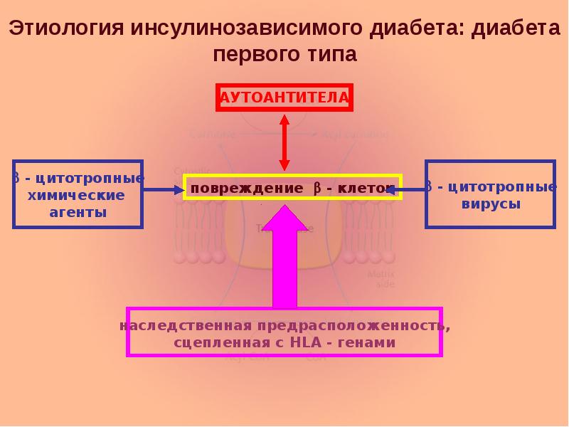 Гипоксия патофизиология презентация