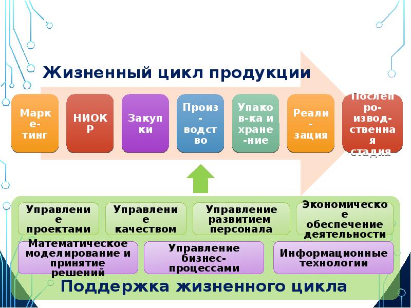 Жизненный цикл информационной системы презентация