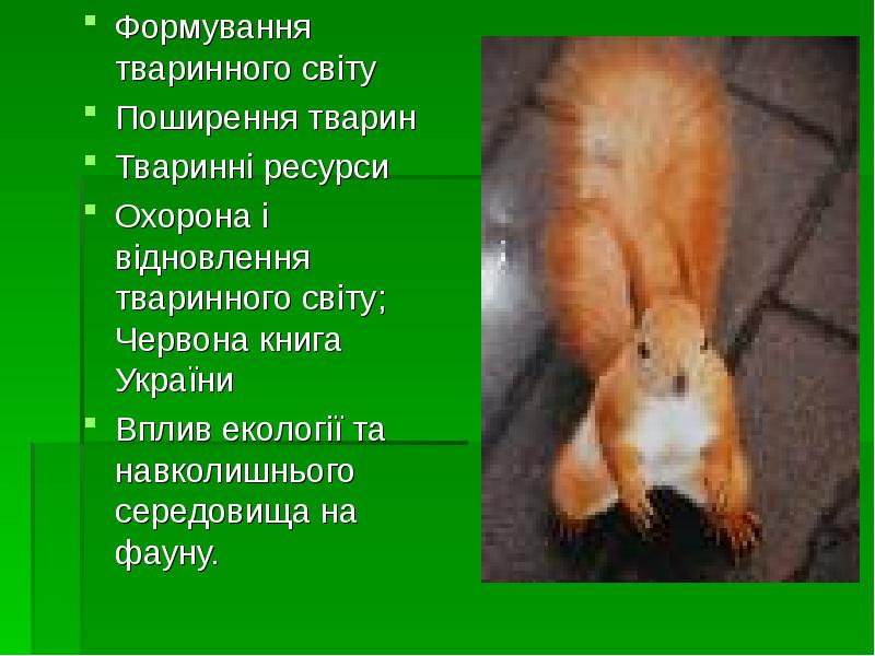 Формування тваринного світу
Формування тваринного світу
Поширення тварин
Тваринні ресурси
Охорона Формування тваринного світу
Формування тваринного світу
Поширення тварин
Тваринні ресурси
Охорона