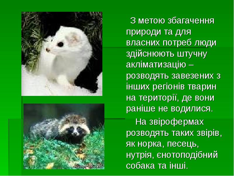 З метою збагачення природи та для власних потреб люди здійснюють штучну З метою збагачення природи та для власних потреб люди здійснюють штучну