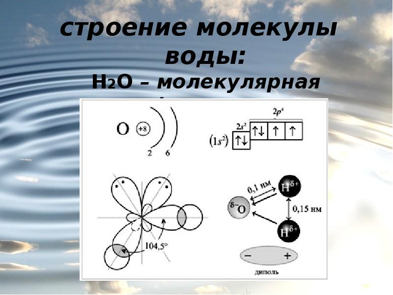 Схема строения молекулы