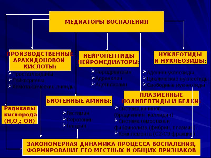 Какие процессы предшествуют экссудации см схему