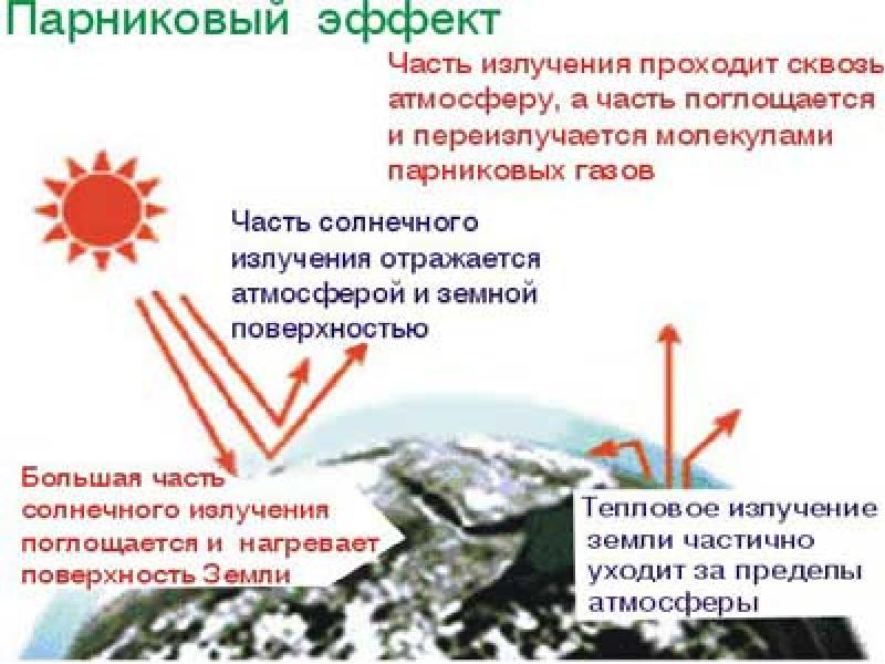 Реферат: Парниковый эффект 8