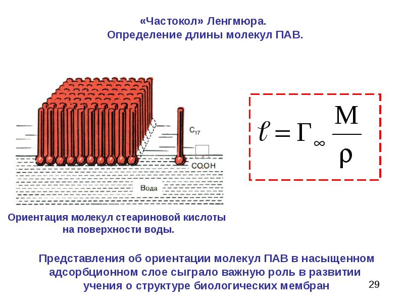 Определить длину молекулы. Частокол Ленгмюра для пав. Теория Ленгмюра. Ориентация молекул пав в поверхностном слое. Мономолекулярная адсорбция Ленгмюра.