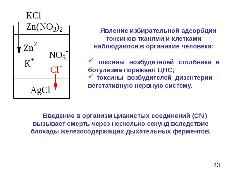 Zn no3 2 kcl. Избирательная адсорбция. Поверхностные явления и адсорбция. Ионная эквивалентная адсорбция. Сущность явления адсорбции.