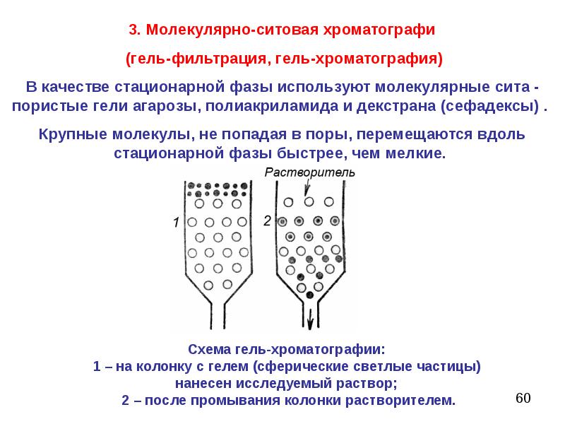 Метод гель фильтрации