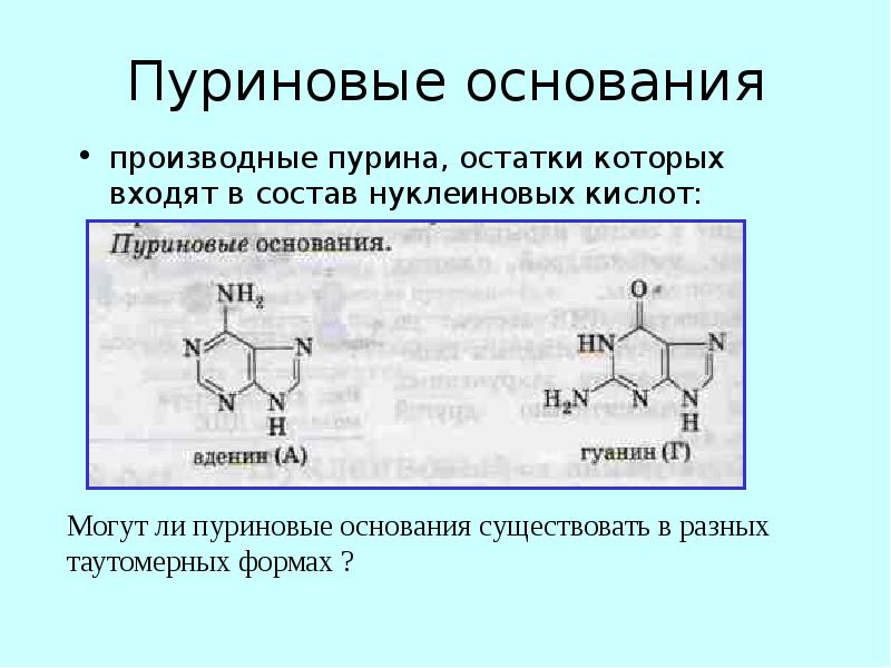 Презентация азотсодержащие гетероциклические соединения нуклеиновые кислоты