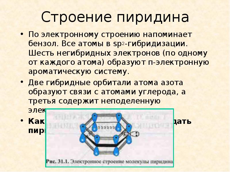 Азотсодержащие гетероциклические соединения презентация 10 класс