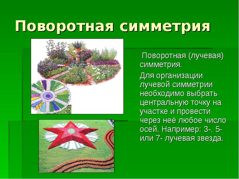 Поворотная симметрия Поворотная (лучевая) симметрия. Для