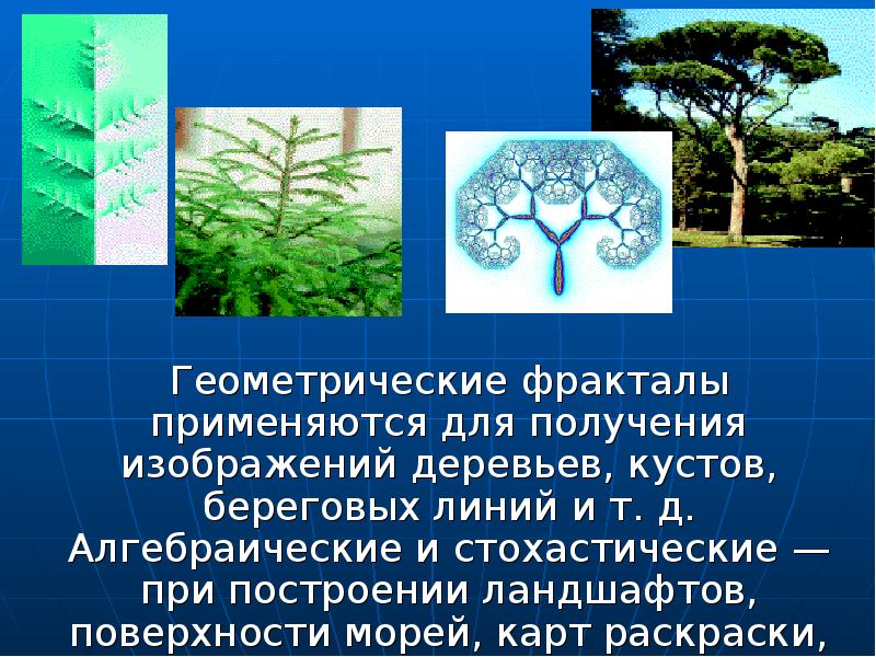 Геометрические фракталы применяются для получения изображений береговых линий