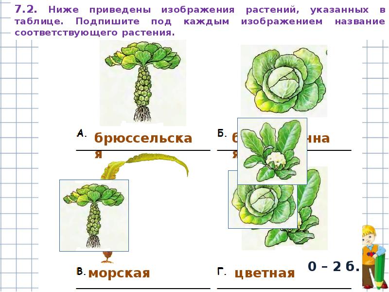 Подпиши под каждой