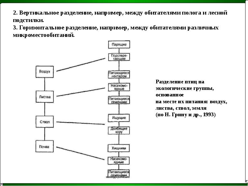 Разделить по вертикали. Вертикальное Разделение между фотографиями. Вертикальное деление земли. Два уровня членения горизонтальная схема. Вертикальное и горизонтальное Разделение показать.