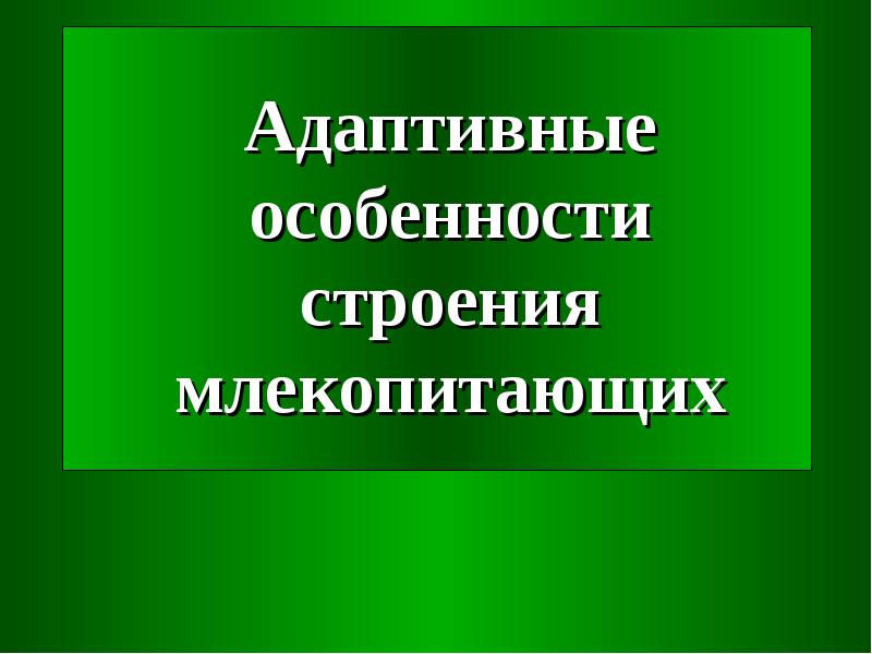 Адаптивные особенности. Адаптивные предпочтения.