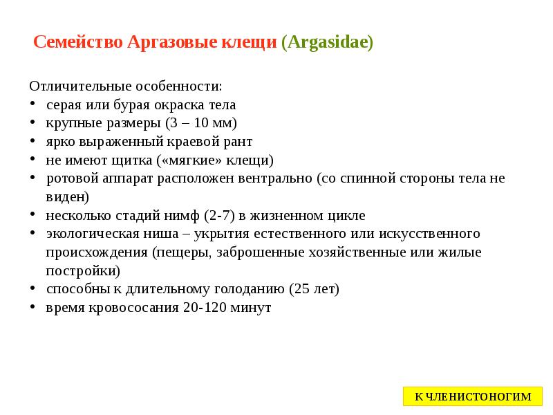 Семейство Аргазовые клещи (Argasidae) Семейство Аргазовые клещи (Argasidae)