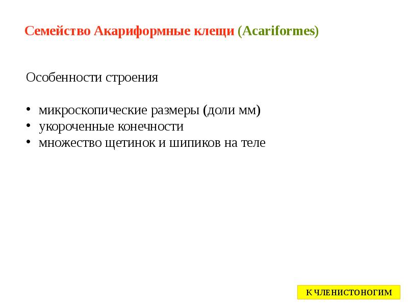 Семейство Акариформные клещи (Acariformes) Семейство Акариформные клещи (Acariformes)