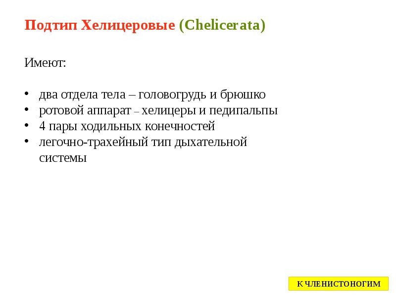 Подтип Хелицеровые (Chelicerata) Подтип Хелицеровые (Chelicerata)