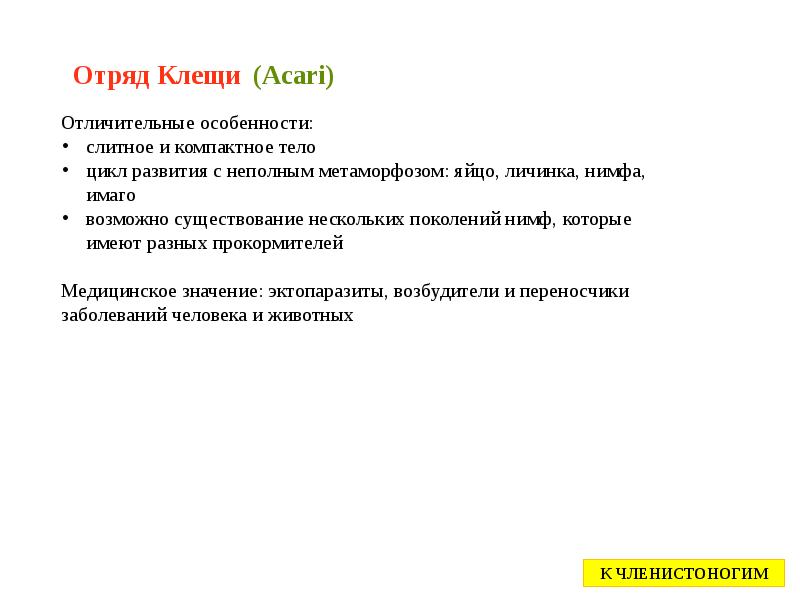 Отряд Клещи (Acari) Отряд Клещи (Acari)