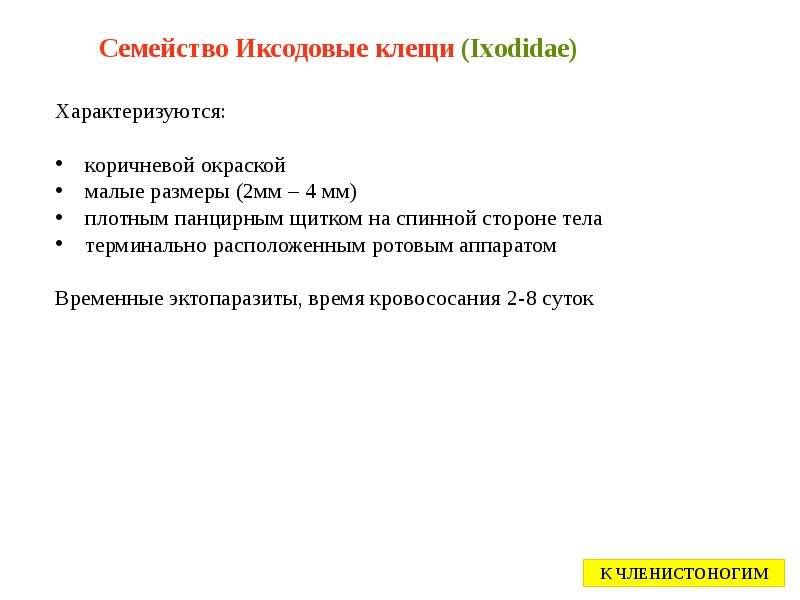 Семейство Иксодовые клещи (Ixodidae) Семейство Иксодовые клещи (Ixodidae)