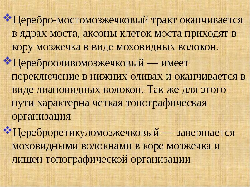 Что характеризует путь. Мостомозжечковый тракт. Церебро-плацентарное отношение. Церебра. Церебер.