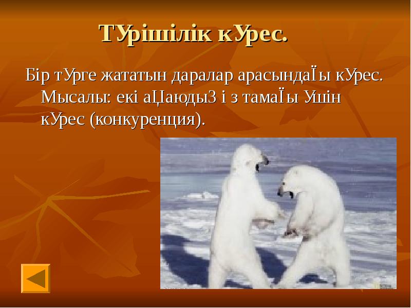 Табиғи сұрыпталу нәтижесінде бейімделу презентация