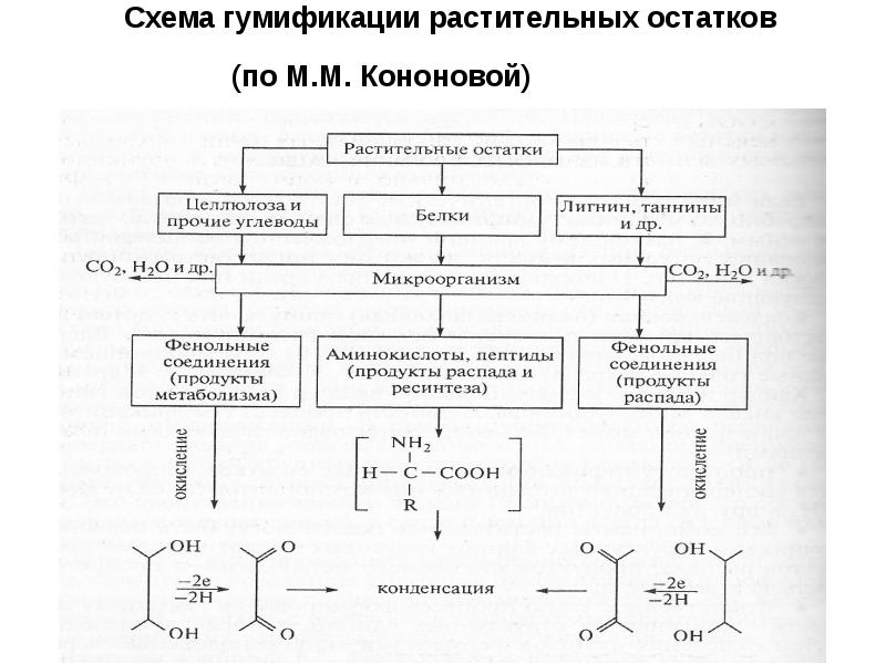 синтез собственно органических веществ в почве это