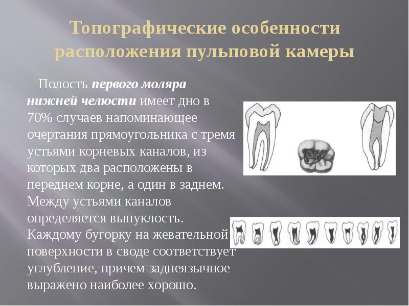 Особенности расположения