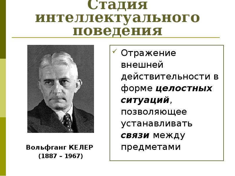 Этапы поведения. Кёлер Вольфганг вклад в психологию. Вольфганг келер презентация. Стадия интеллектуального поведения. Кёлер Вольфганг труды.