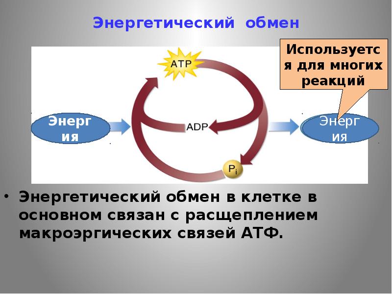 Термодинамика открытых систем. Войны обмениваются энергией. Для чего используетс чанаыора.