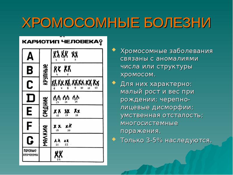 Хромосомные наследственные заболевания презентация