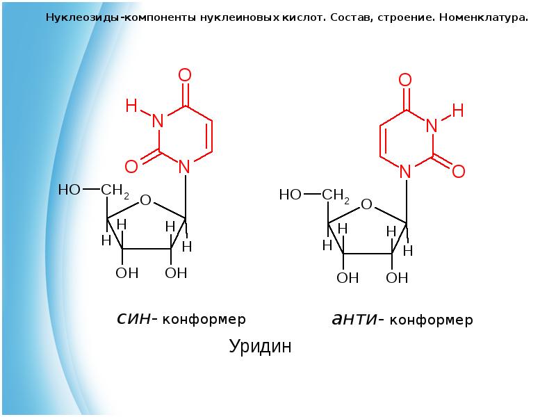 Нуклеиновые кислоты фосфор. Формула нуклеозида РНК. Нуклеозид ado. Нуклеозид состоит из. Строение нуклеозидов.