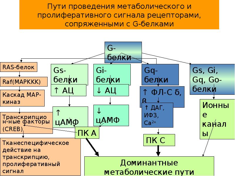 Сигналы рецепторов