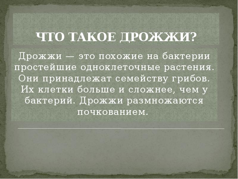 Что такое дрожжи. Актуальность дрожжей. Актуальность темы дрожжи. Доклад про дрожжи 3 класс. Проект дрожжи.